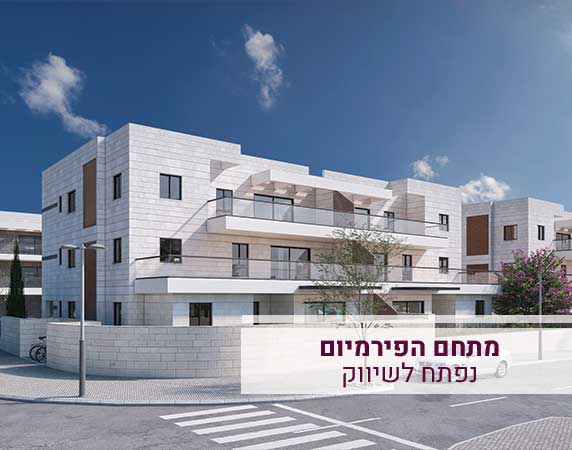הדמיה_כרמי_גת_1